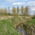 Nans Meadow